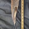 Spirit Feather with Pink Aura Quartz