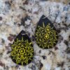 Yellow/Black Earrings - Image 2